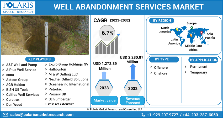 Well Abandonment Services Market